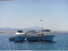 SDC12373.JPG