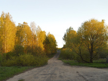 DSCN5506.JPG
