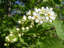 DSCN5549.JPG