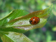 DSCN5558.JPG