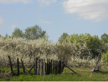 DSCN5618.JPG