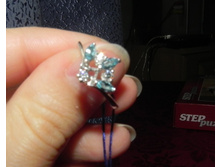 DSCN1789.jpg