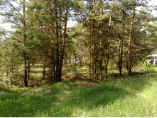 21052011221.jpg