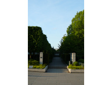 cpng 086.JPG