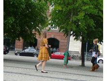 dnm 127.JPG