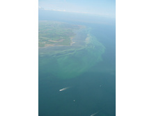 swd 014.JPG