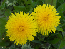 DSCN5586.JPG