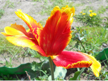 DSCN5592.JPG