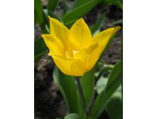 DSCN5596.JPG