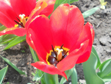 DSCN5598.JPG