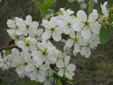 DSCN5647.JPG