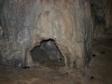 IMG_9559.JPG