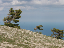 IMG_9642.JPG