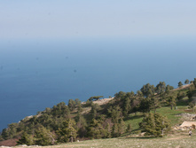 IMG_9671.JPG