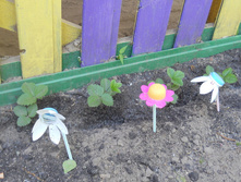 DSCN5707.JPG