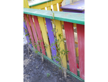DSCN5708.JPG