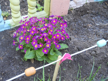 DSCN5709.JPG