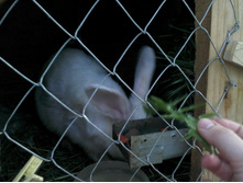 ����-0028.jpg