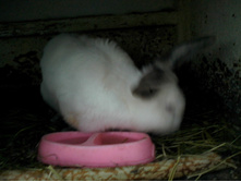 ����-0030.jpg