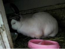 ����-0031.jpg