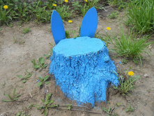 DSCN5728.JPG