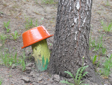 DSCN5761.JPG