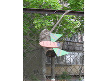 DSCN5764.JPG