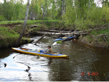 DSC08690.JPG