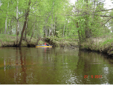 DSC08727.JPG