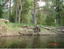 DSC08738.JPG