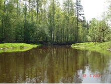 DSC08781.JPG