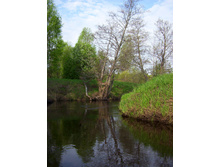 Linda_2011 037.jpg