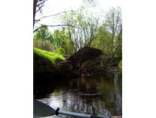 Linda_2011 039.jpg