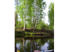 Linda_2011 041.jpg