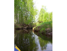 Linda_2011 042.jpg