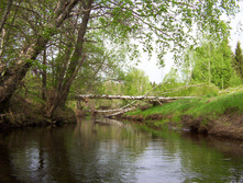 Linda_2011 044.jpg