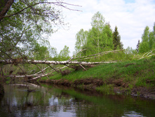 Linda_2011 045.jpg