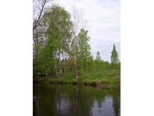 Linda_2011 059.jpg
