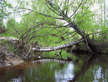 Linda_2011 061.jpg