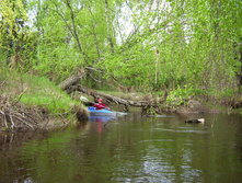 Linda_2011 063.jpg