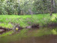 Linda_2011 082.jpg