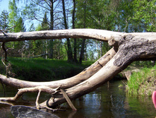 Linda_2011 087.jpg