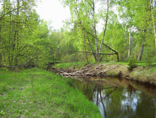 Linda_2011 104.jpg