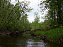 Linda_2011 110.jpg