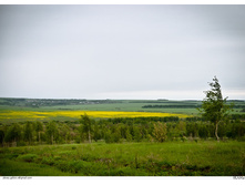 _DSC5677.jpg