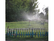 DSCF1243.JPG