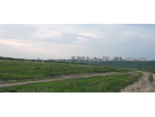 DSCF1254.JPG