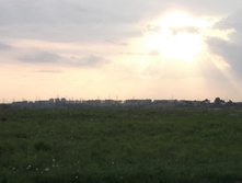 DSCF1256.JPG