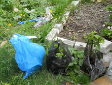 DSCN5827.JPG