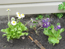 DSCN5828.JPG